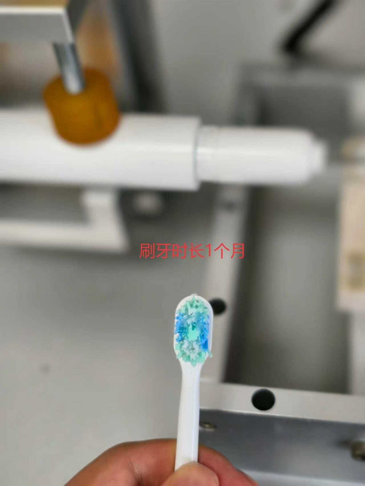 Brush-head condition after 1 month of the labeled test duration